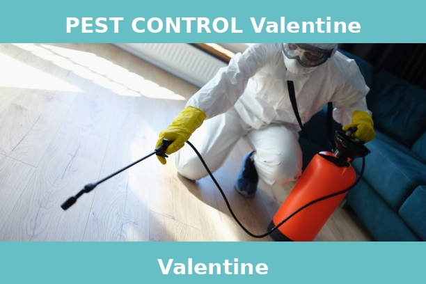 PEST CONTROL Valentine